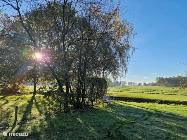Bankje aan het eind van de boomgaard